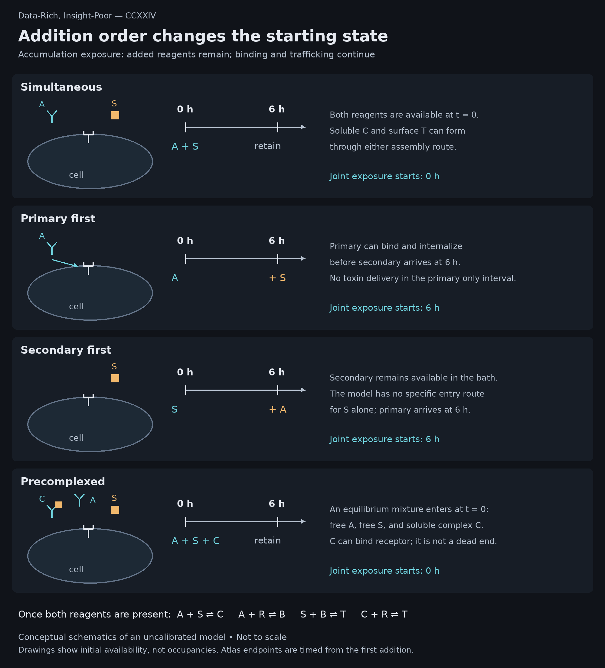 Four cellular starting-state schematics and timelines compare simultaneous addition, primary first, secondary first, and an equilibrium precomplexed mixture under accumulation exposure.