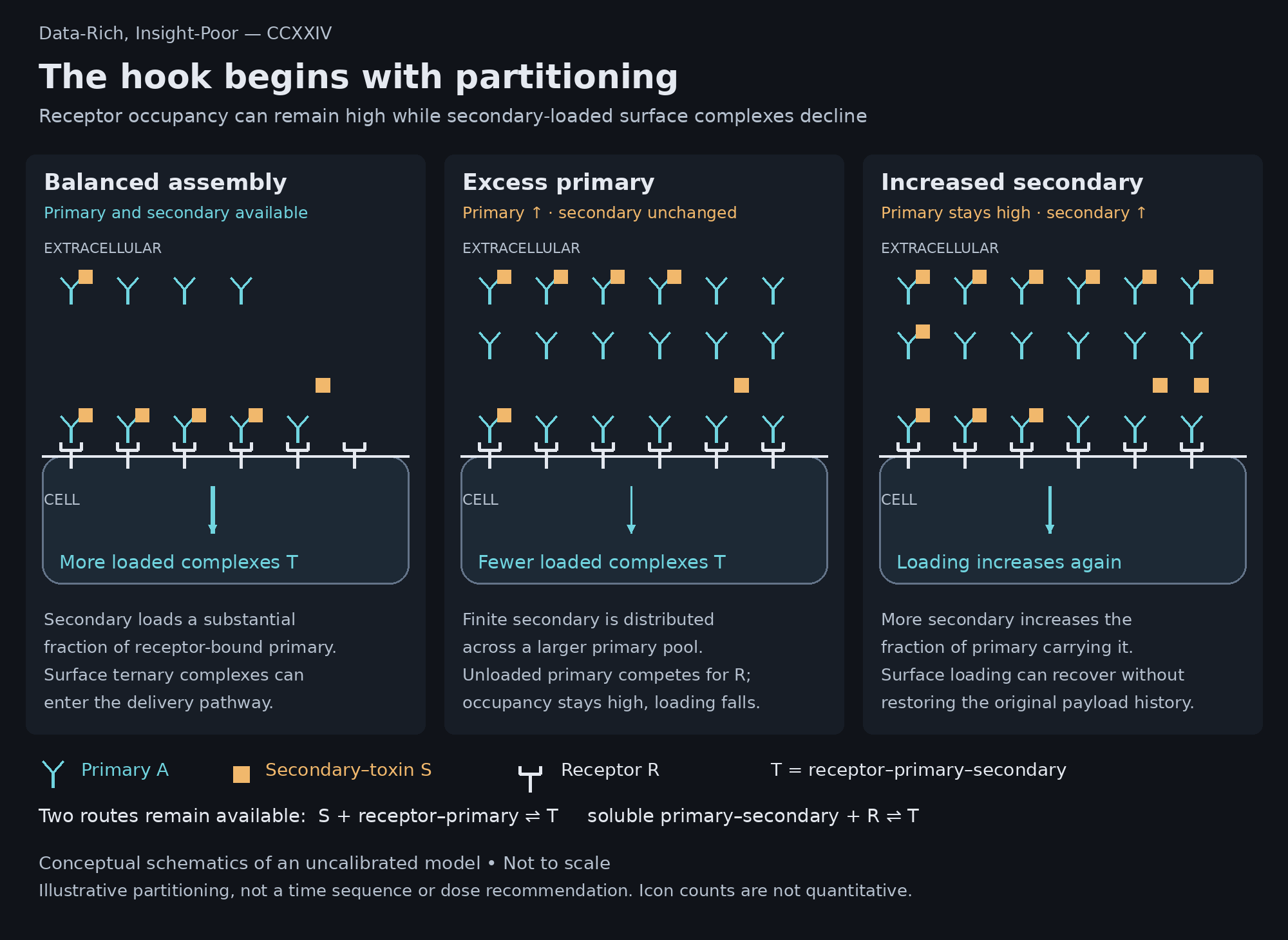 Three cell-surface panels show balanced assembly, excess primary at unchanged secondary, and increased secondary at the same high primary. Secondary-loaded receptor complexes decline despite high occupancy, then increase when secondary supply is raised.