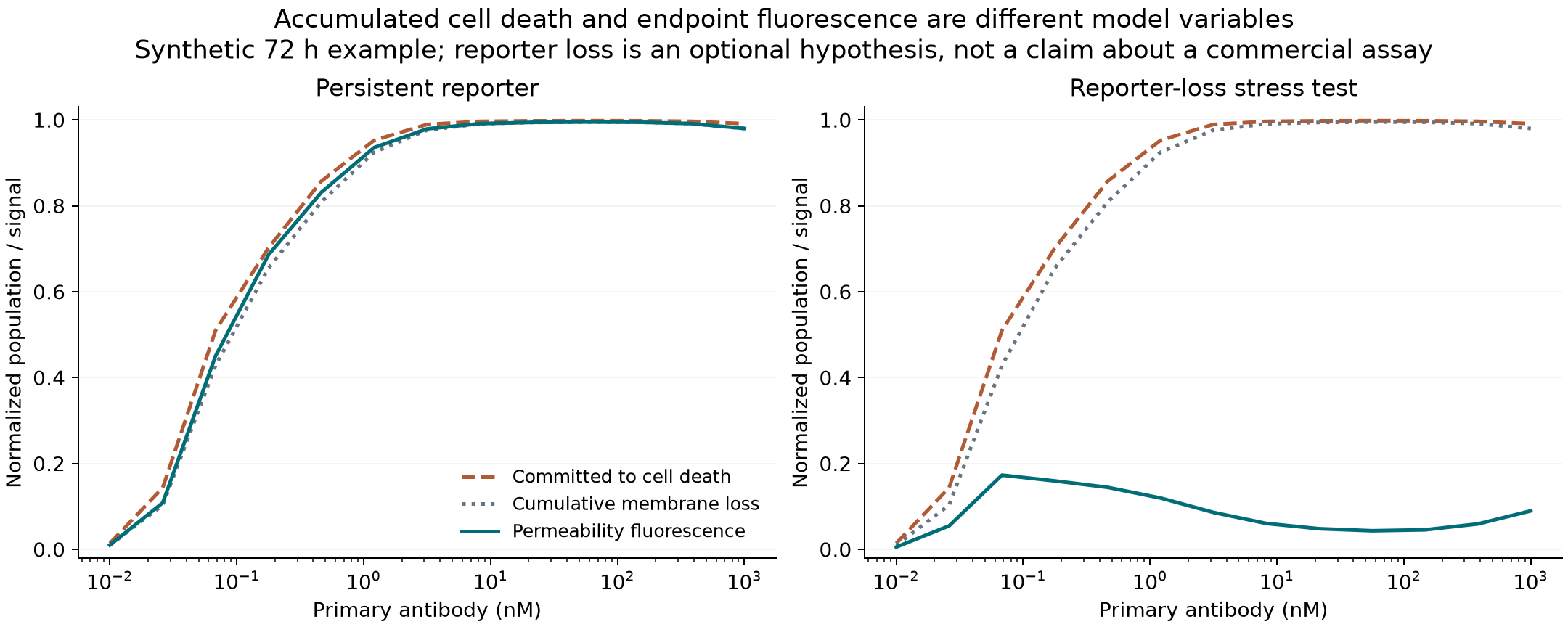 The same simulated biological response with persistent or transient reporter accessibility.